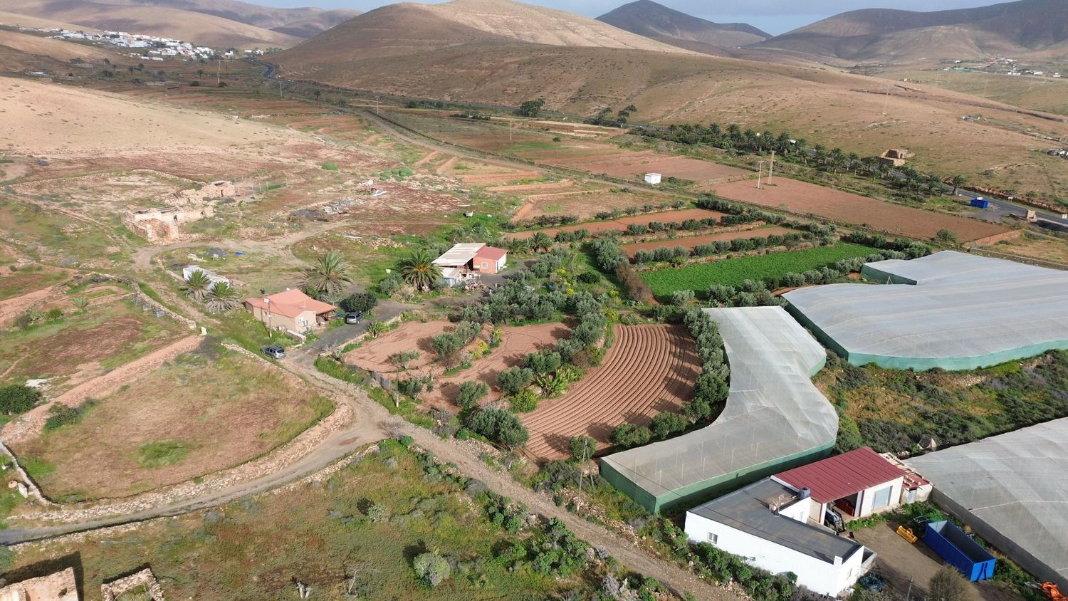 Casas o chalets-Venta-PÃ¡jara-2201777-Foto-3