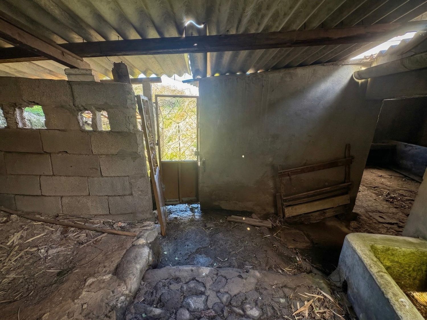 Casas o chalets-Venta-Teror-2201780-Foto-21