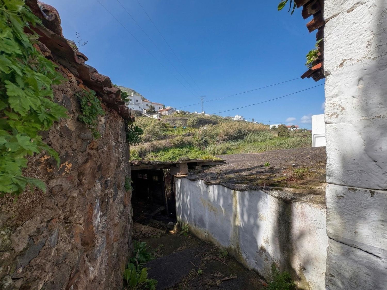 Casas o chalets-Venta-Teror-2201780-Foto-19