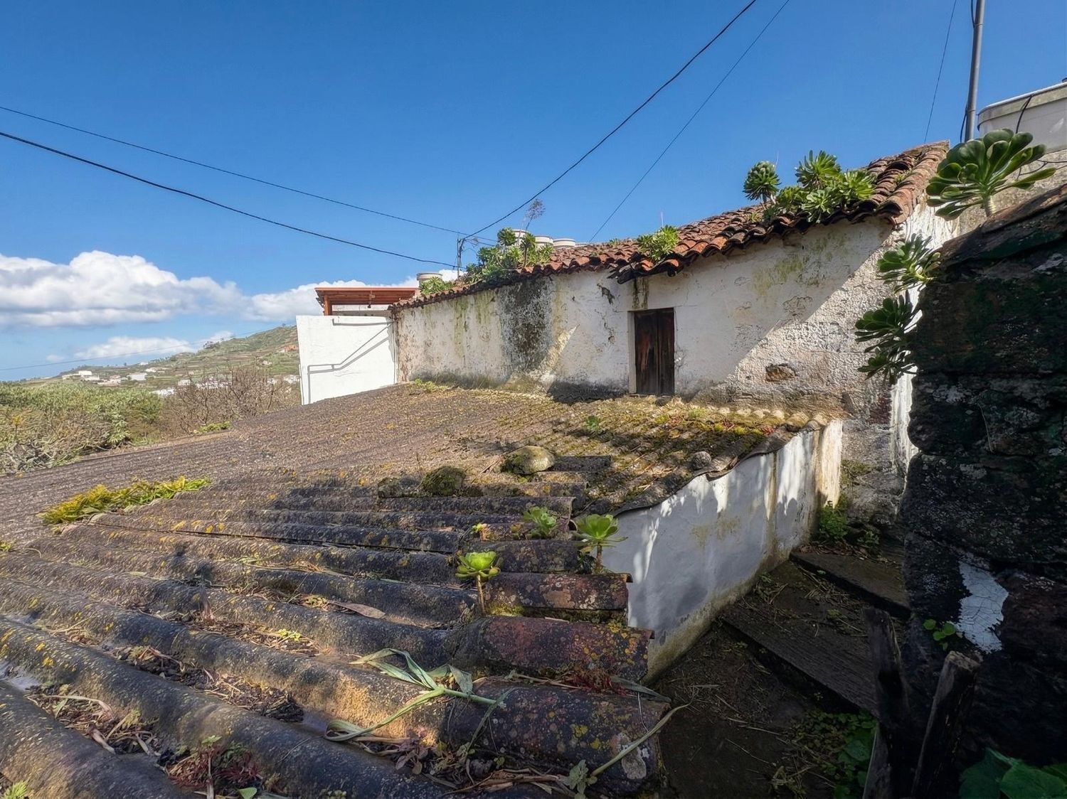 Casas o chalets-Venta-Teror-2201780-Foto-20