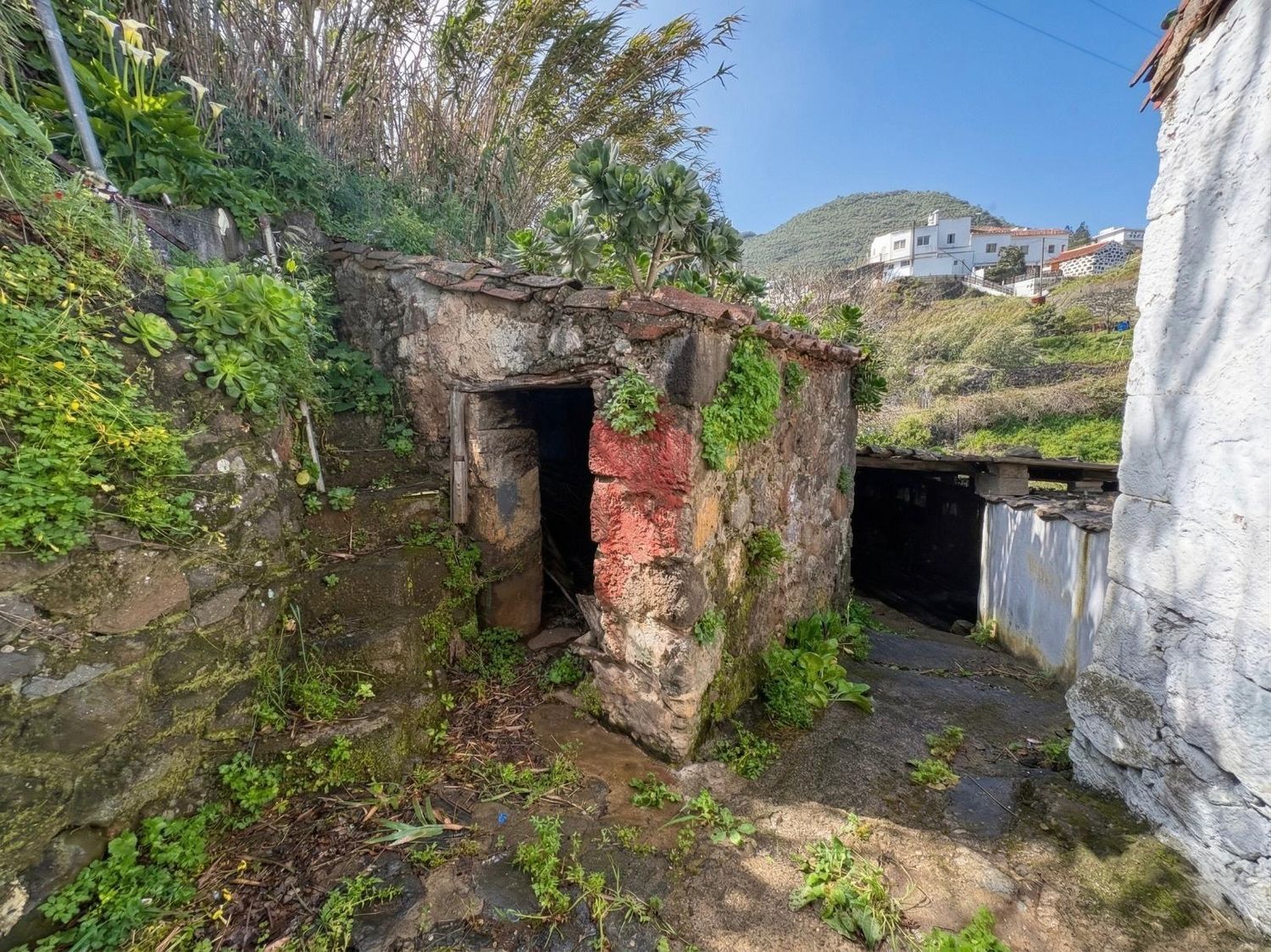 Casas o chalets-Venta-Teror-2201780-Foto-22