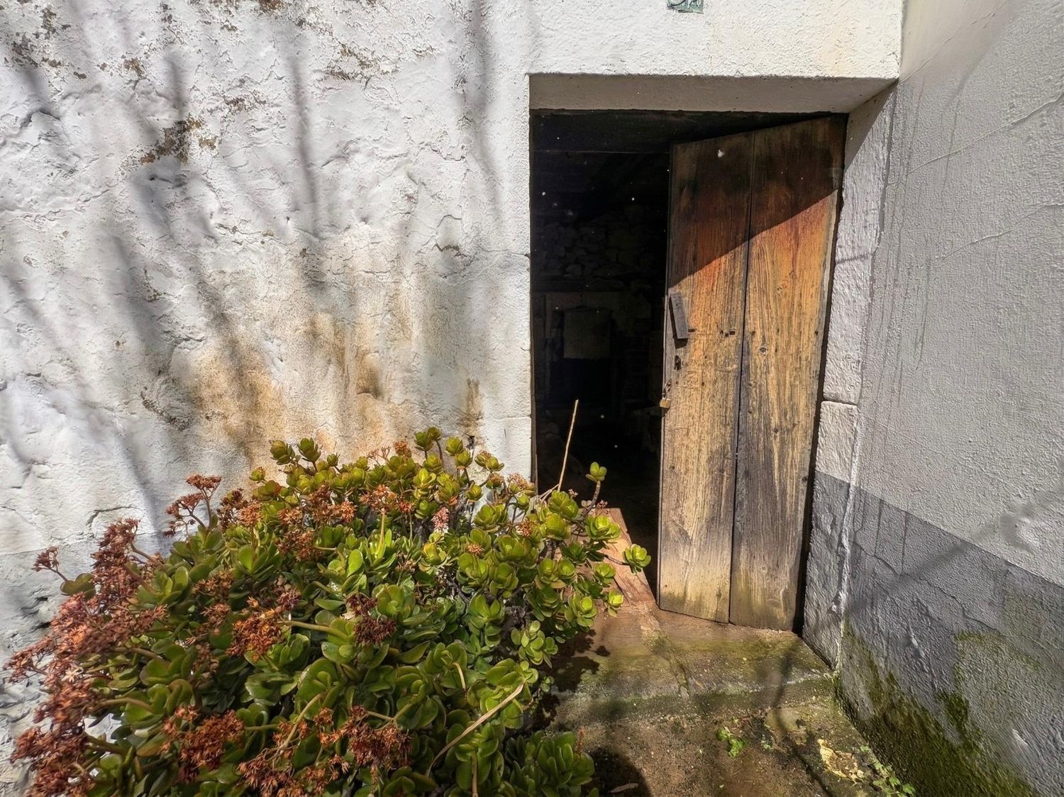 Casas o chalets-Venta-Teror-2201780-Foto-23