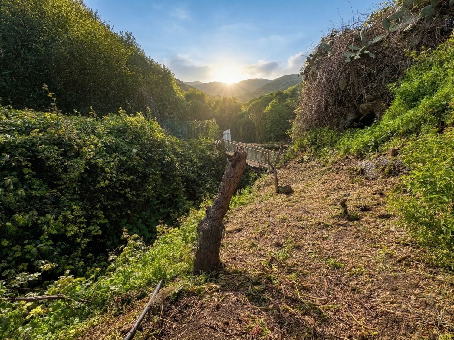 Casas o chalets-Venta-Teror-2201780-Foto-26