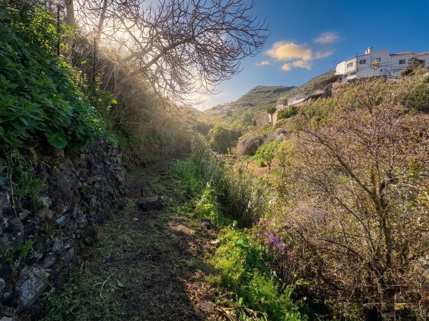 Casas o chalets-Venta-Teror-2201780-Foto-28