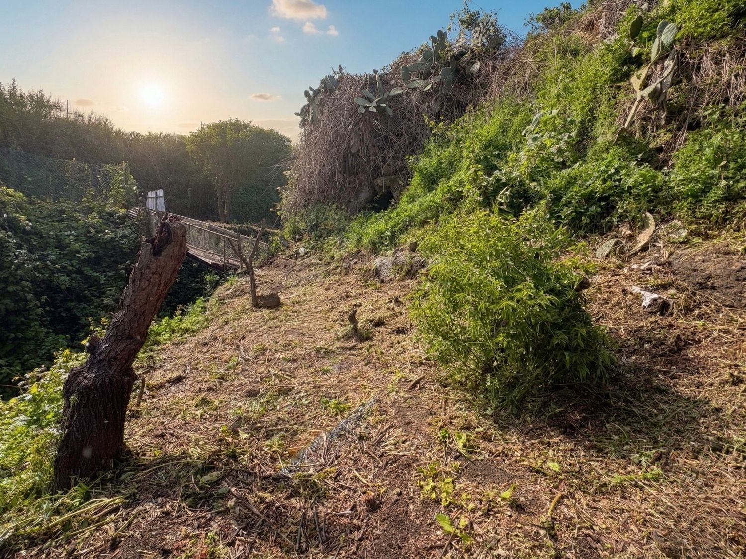 Casas o chalets-Venta-Teror-2201780-Foto-30