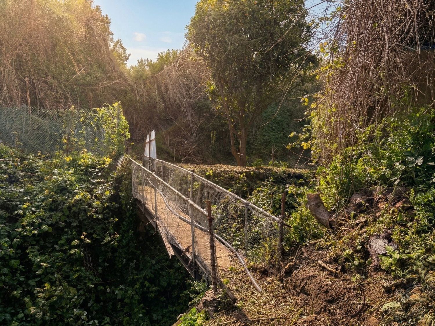 Casas o chalets-Venta-Teror-2201780-Foto-29