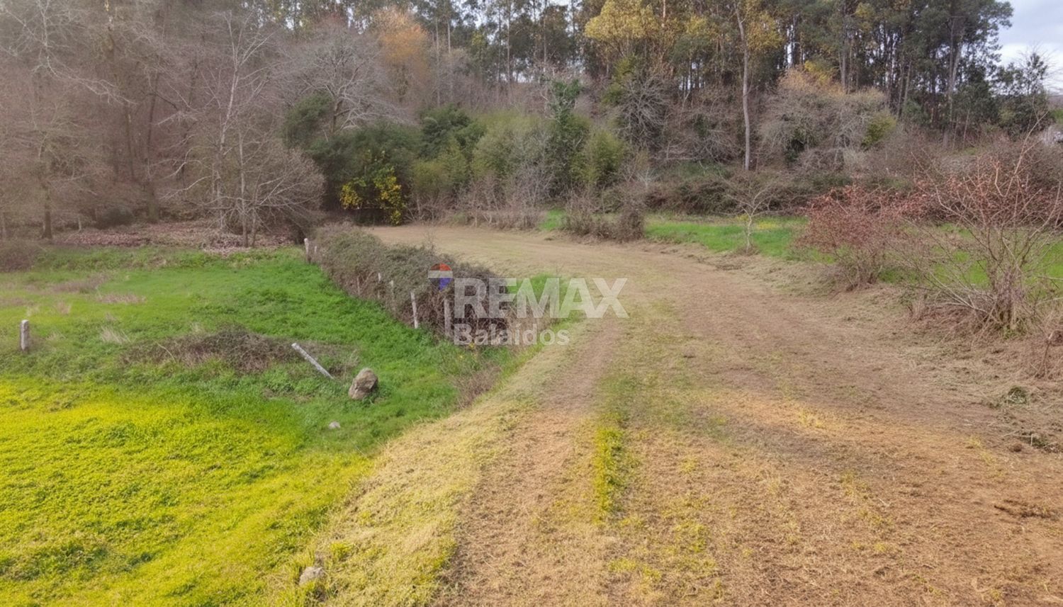 Fincas y solares-Venta-TomiÃ±o-2201786-Foto-2