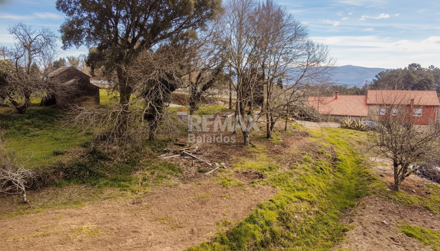 Fincas y solares-Venta-TomiÃ±o-2201786-Foto-4