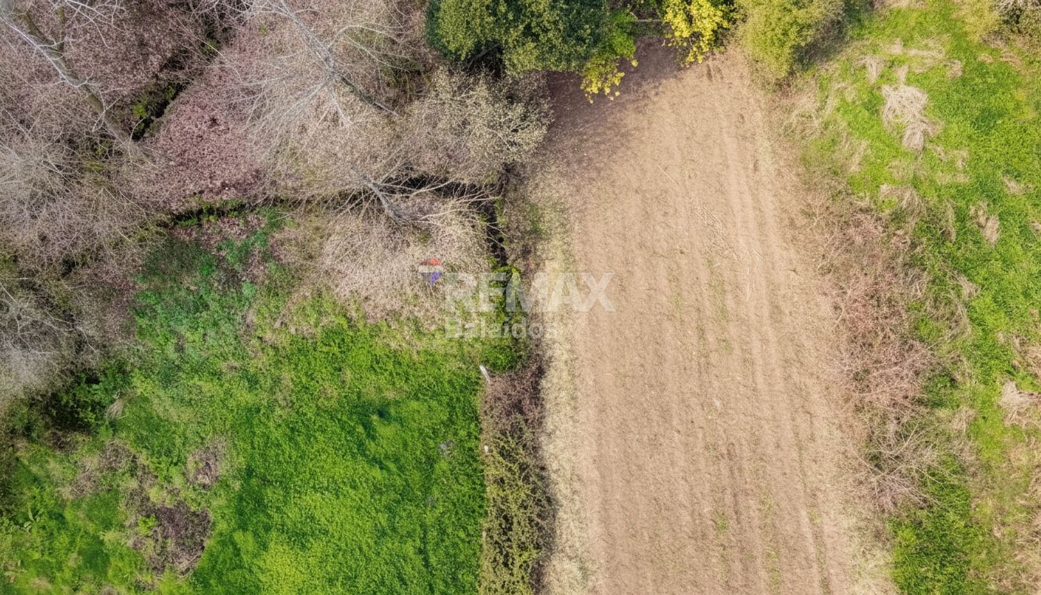 Fincas y solares-Venta-TomiÃ±o-2201786-Foto-7