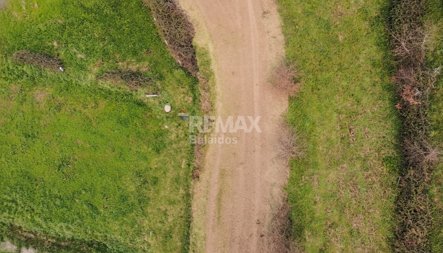 Fincas y solares-Venta-TomiÃ±o-2201786-Foto-9