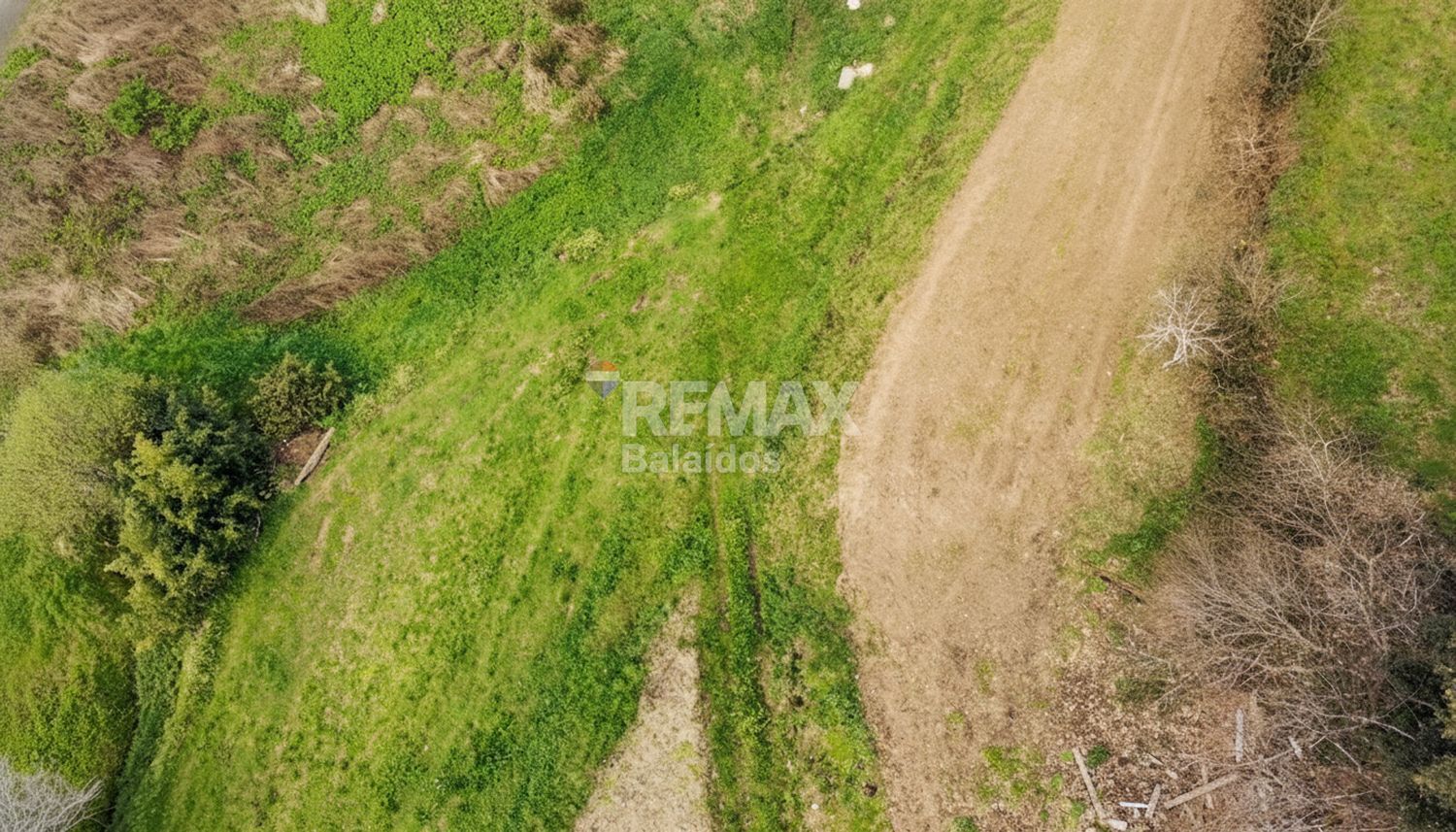 Fincas y solares-Venta-TomiÃ±o-2201786-Foto-11