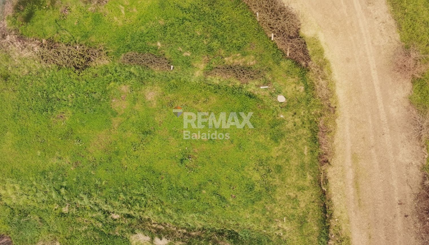 Fincas y solares-Venta-TomiÃ±o-2201786-Foto-10