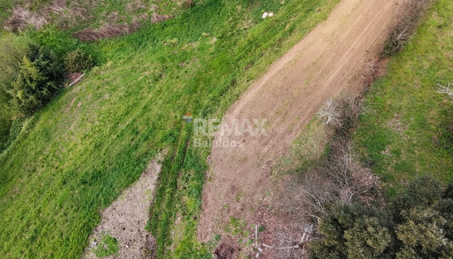 Fincas y solares-Venta-TomiÃ±o-2201786-Foto-12