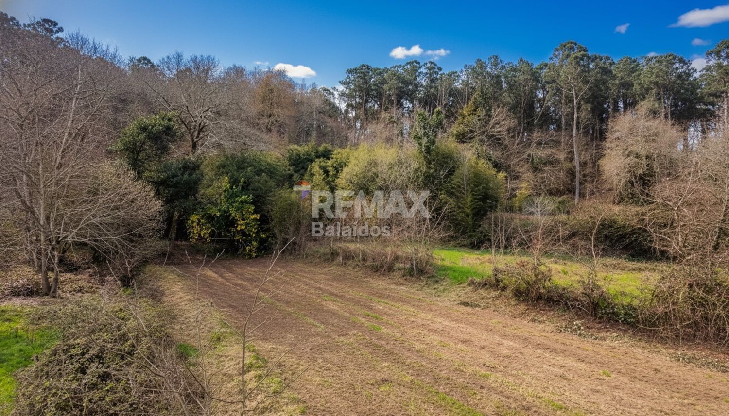 Fincas y solares-Venta-TomiÃ±o-2201786-Foto-13