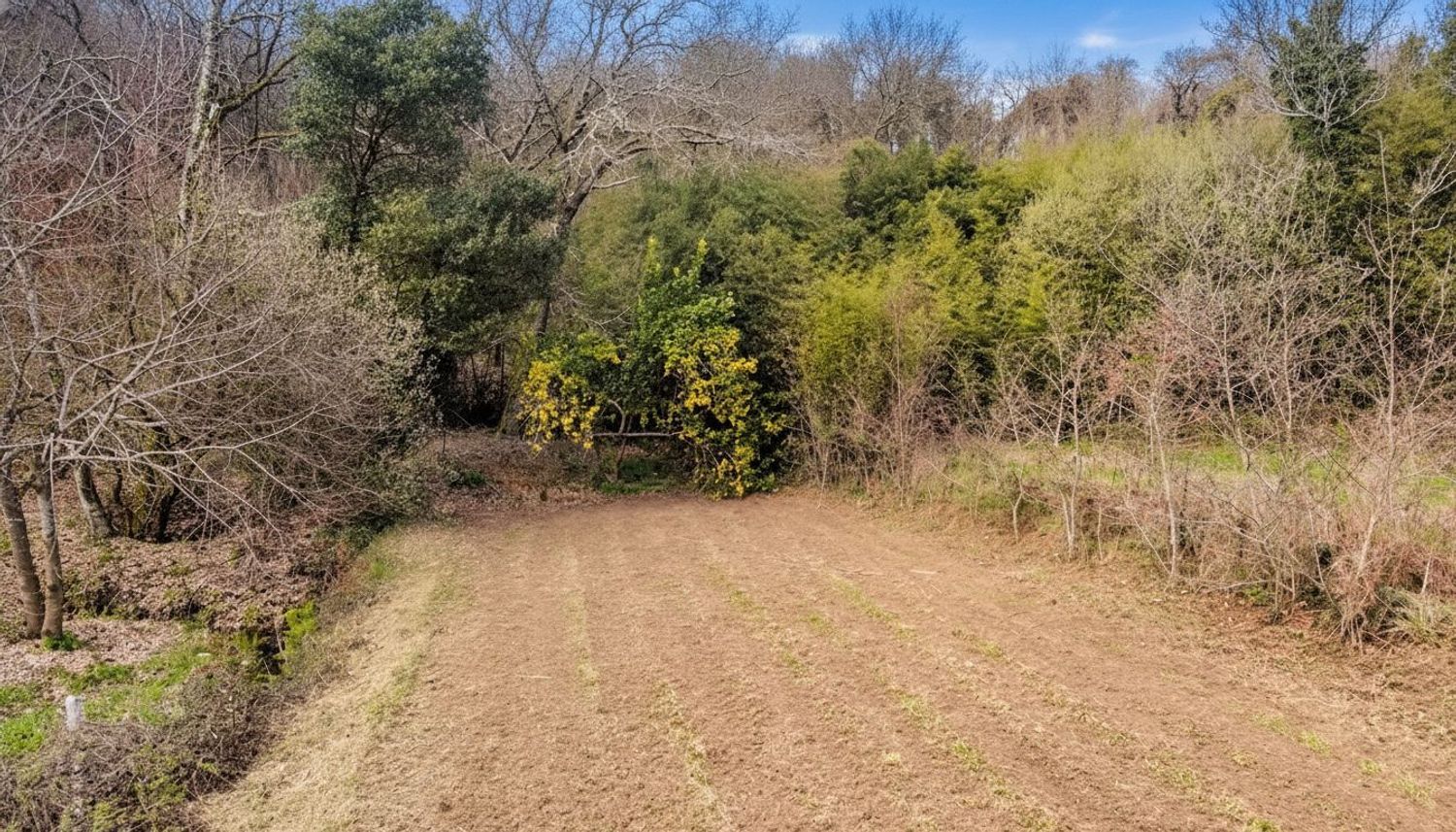 Fincas y solares-Venta-TomiÃ±o-2201786-Foto-14