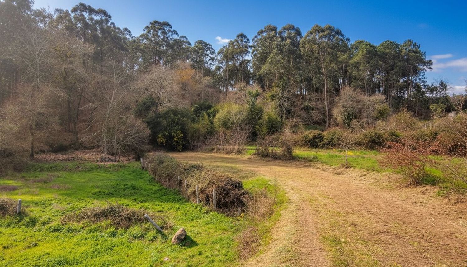 Fincas y solares-Venta-TomiÃ±o-2201786-Foto-15