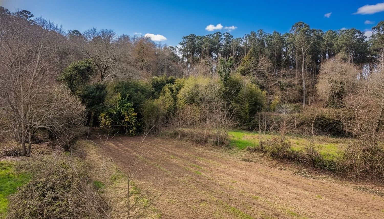 Fincas y solares-Venta-TomiÃ±o-2201786-Foto-16