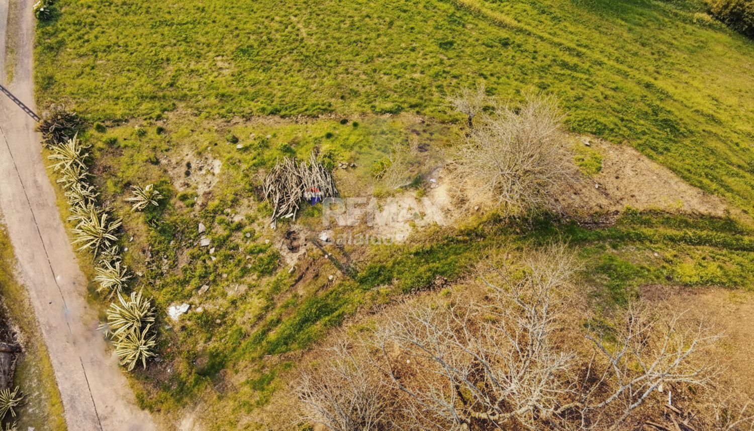 Fincas y solares-Venta-TomiÃ±o-2201786-Foto-18