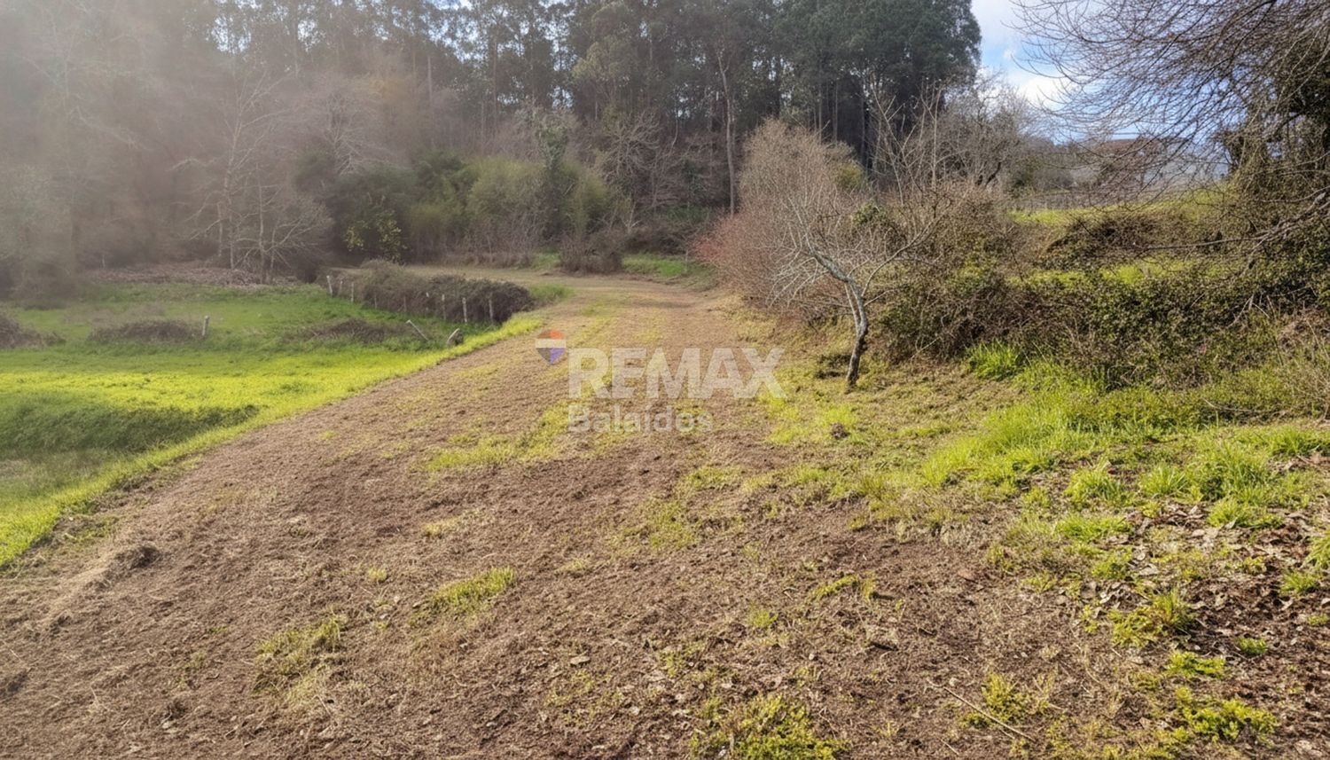 Fincas y solares-Venta-TomiÃ±o-2201786-Foto-21