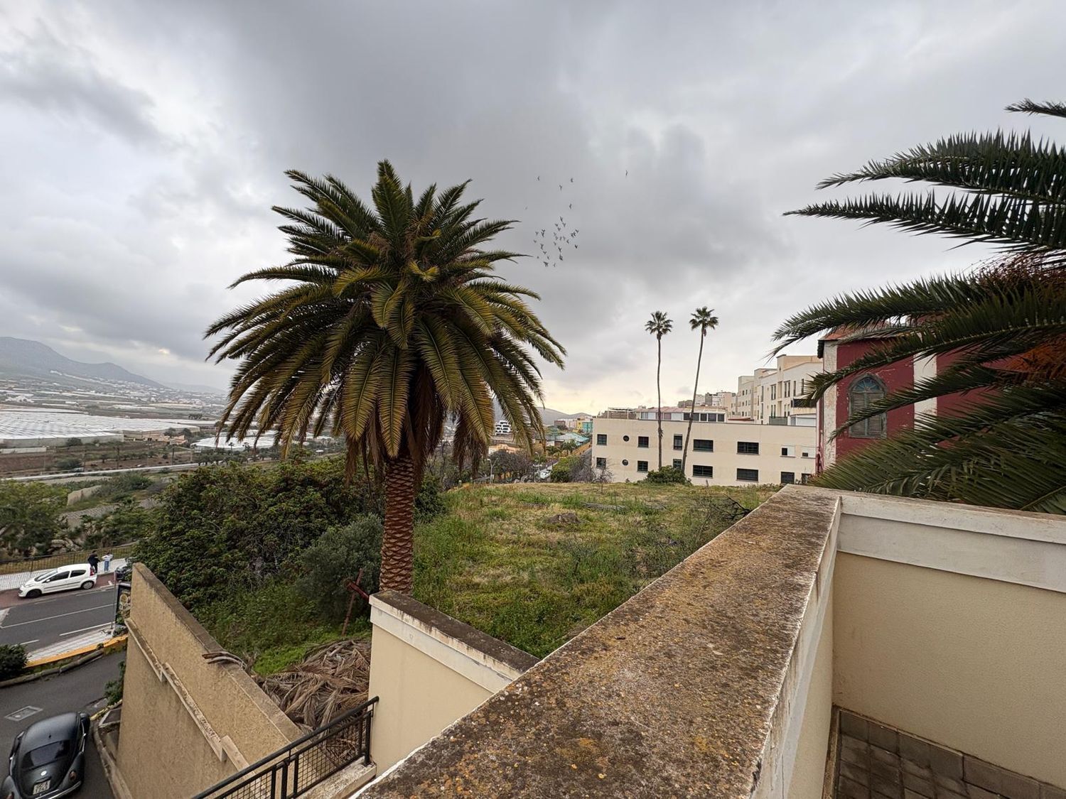 Pisos-Venta-GÃ¡ldar-2201792-Foto-16