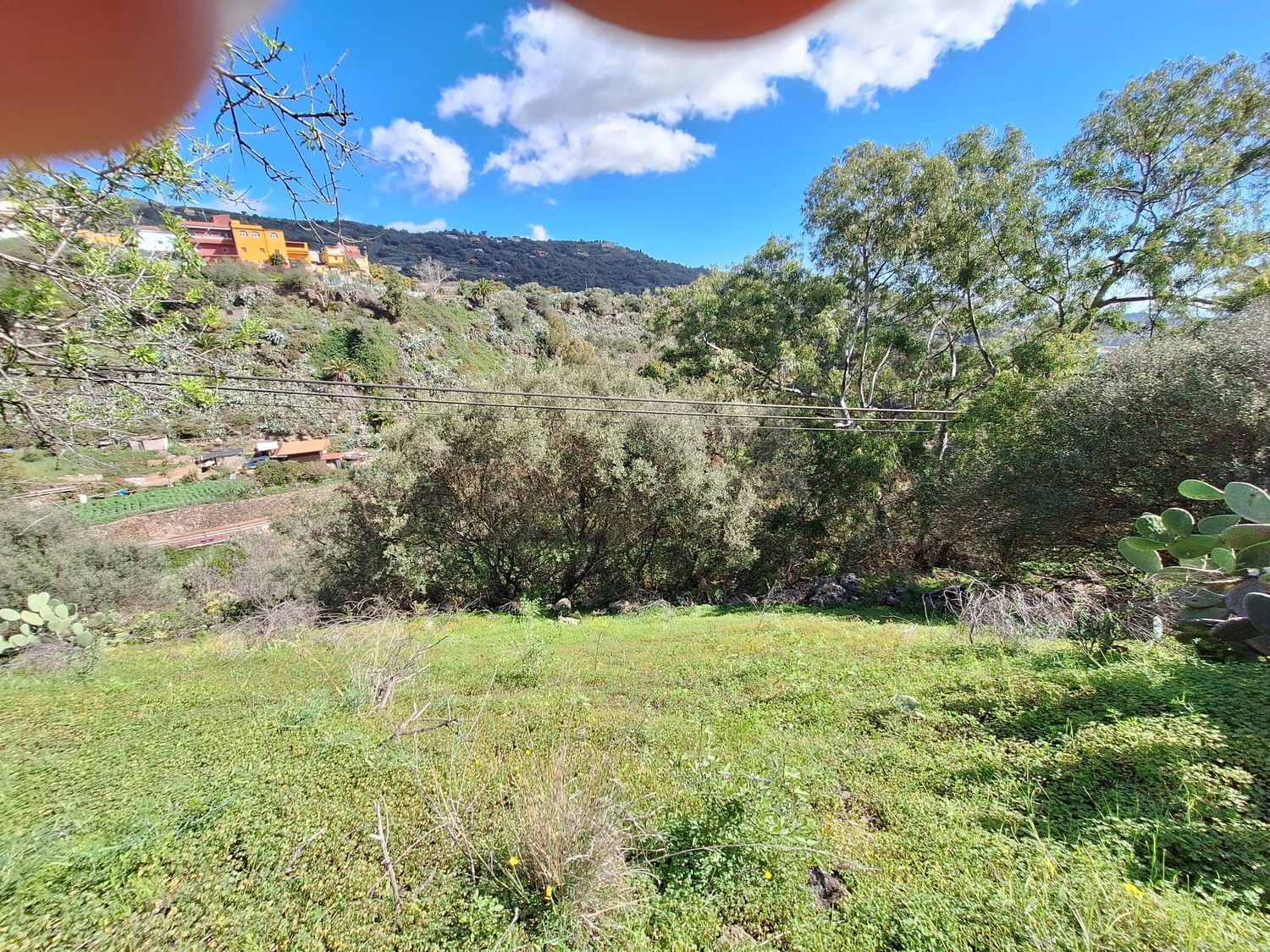 Casas o chalets-Venta-Santa BrÃ­gida-2207071-Foto-10