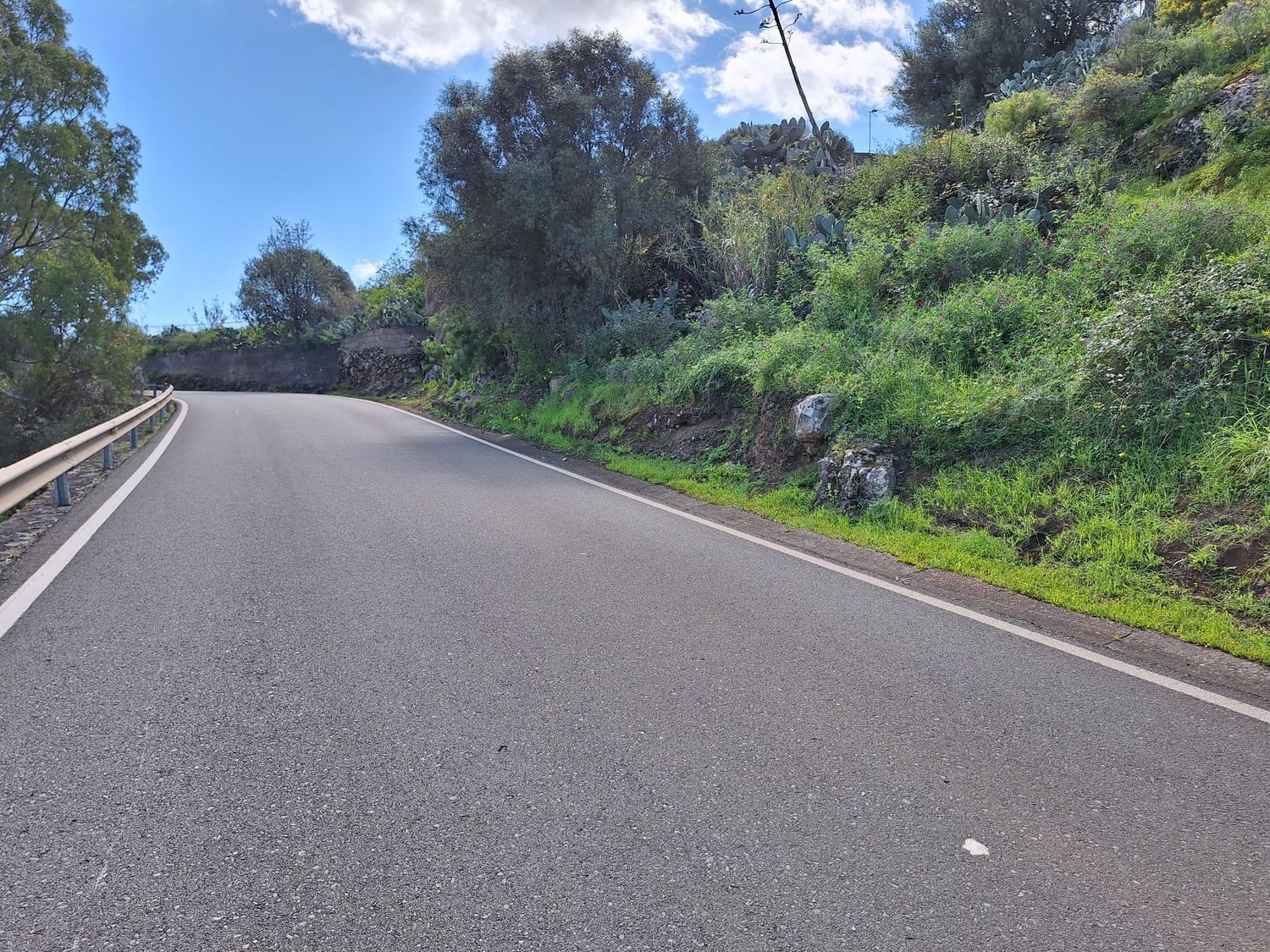 Casas o chalets-Venta-Santa BrÃ­gida-2207071-Foto-13