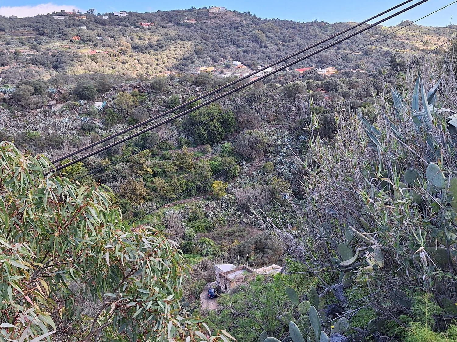 Casas o chalets-Venta-Santa BrÃ­gida-2207071-Foto-9