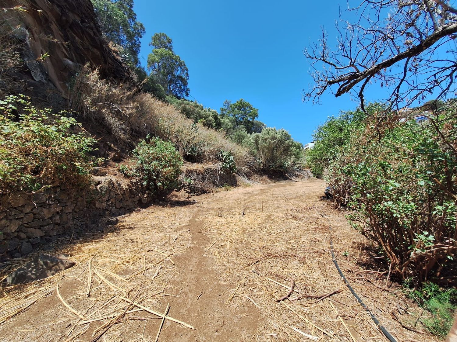 Casas o chalets-Venta-Santa BrÃ­gida-2207071-Foto-19