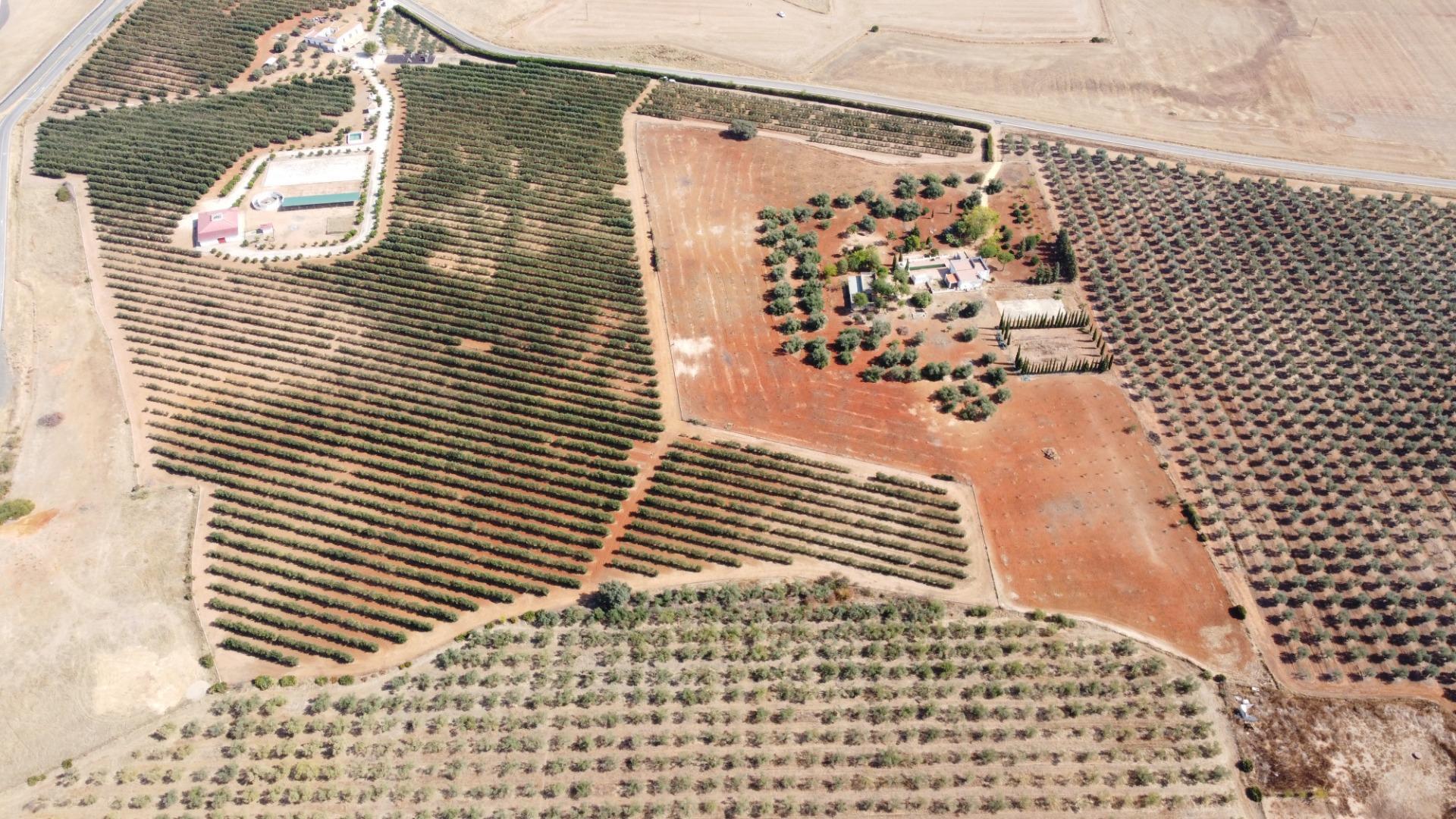 Pisos-Venta-Carmona-1976163