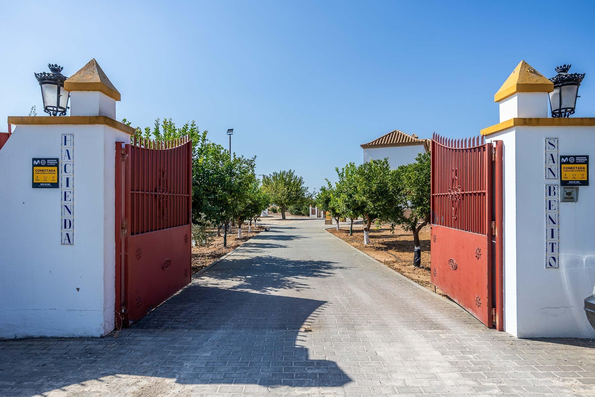 Pisos-Venta-Carmona-1976163-Foto-4