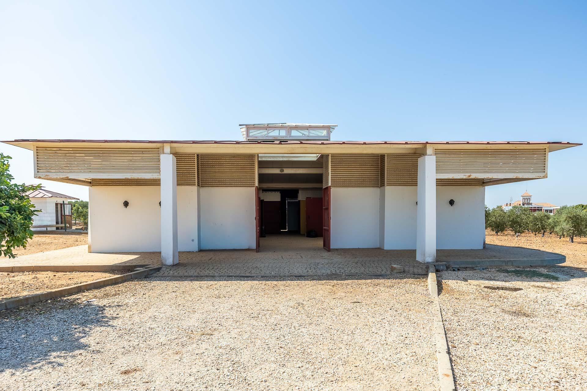 Pisos-Venta-Carmona-1976163-Foto-37