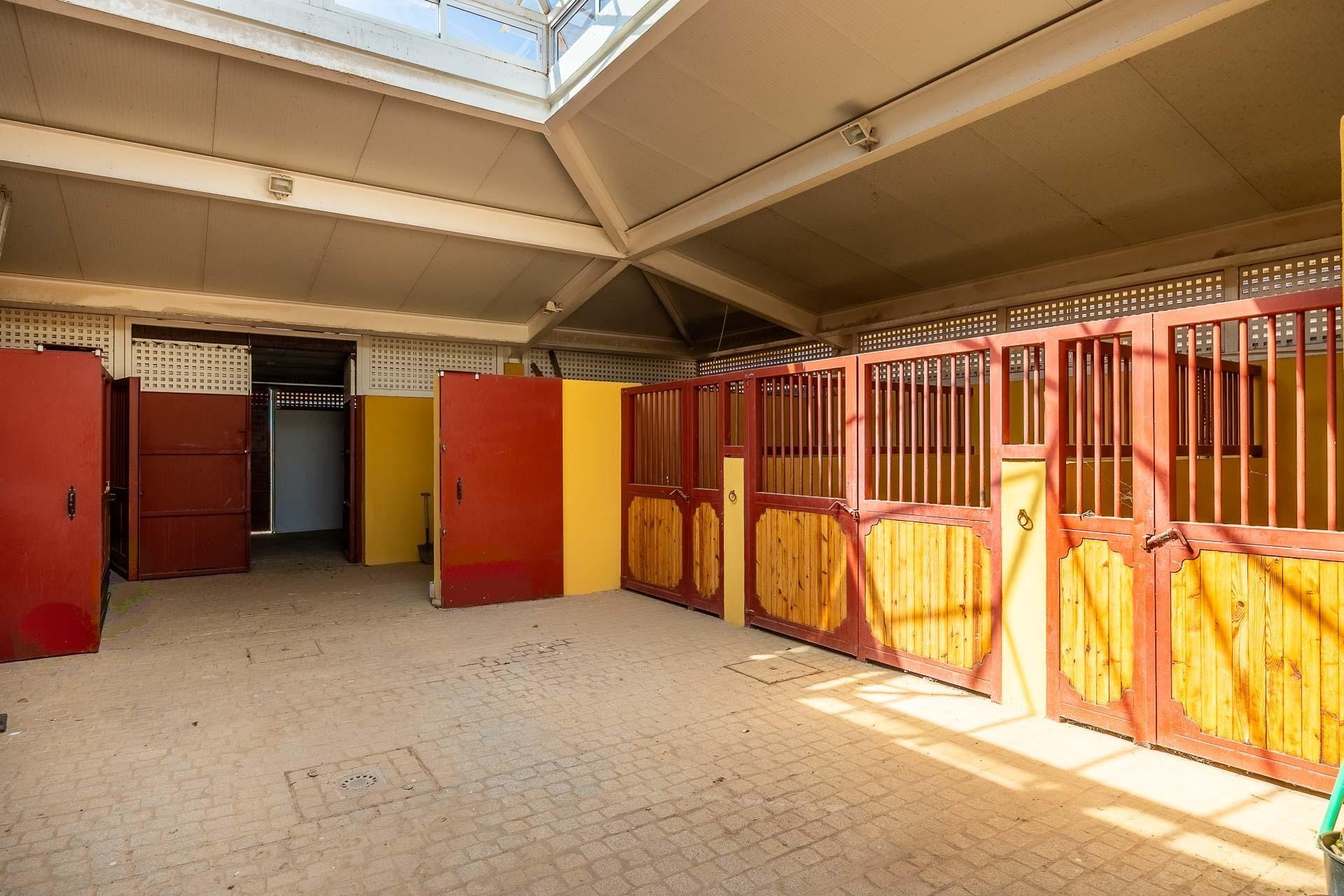 Pisos-Venta-Carmona-1976163-Foto-38