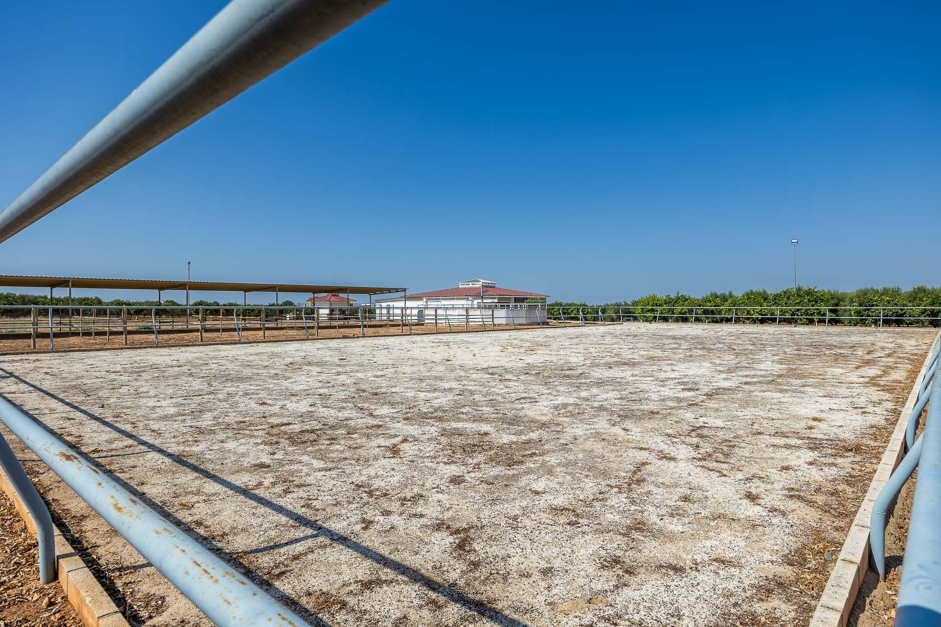 Pisos-Venta-Carmona-1976163-Foto-42