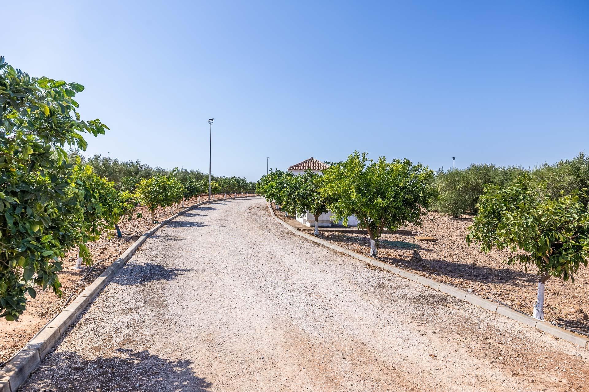 Pisos-Venta-Carmona-1976163-Foto-44