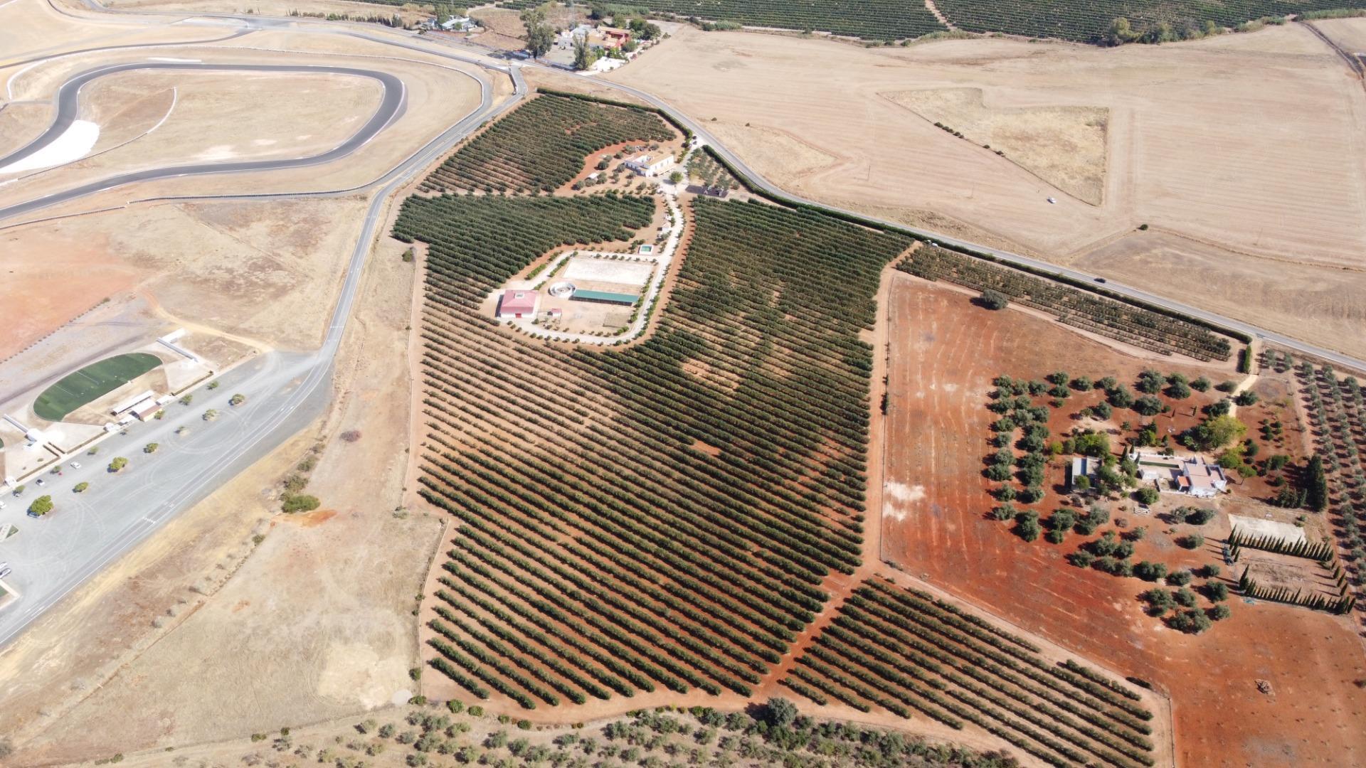 Pisos-Venta-Carmona-1976163-Foto-53