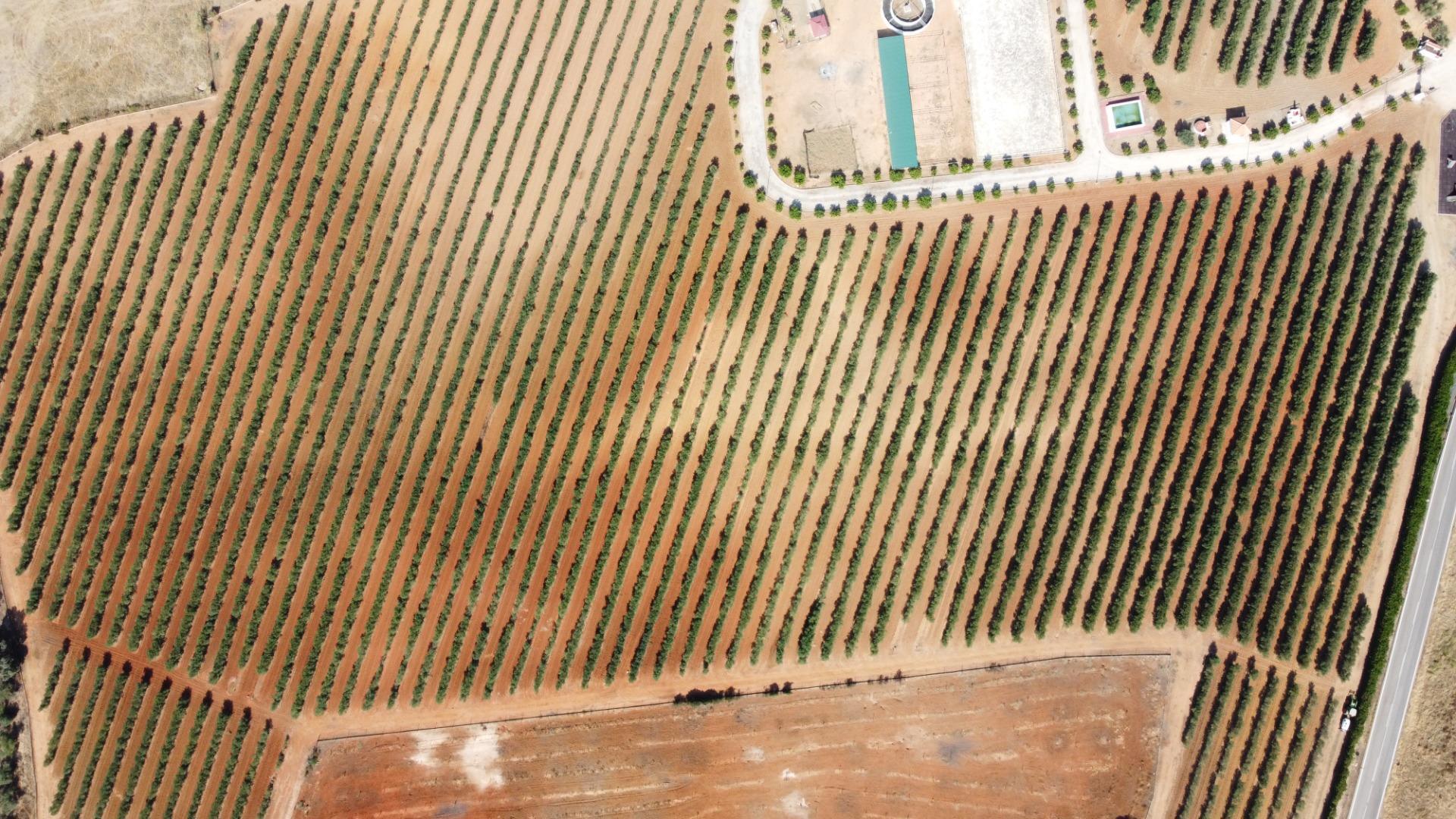 Pisos-Venta-Carmona-1976163-Foto-51