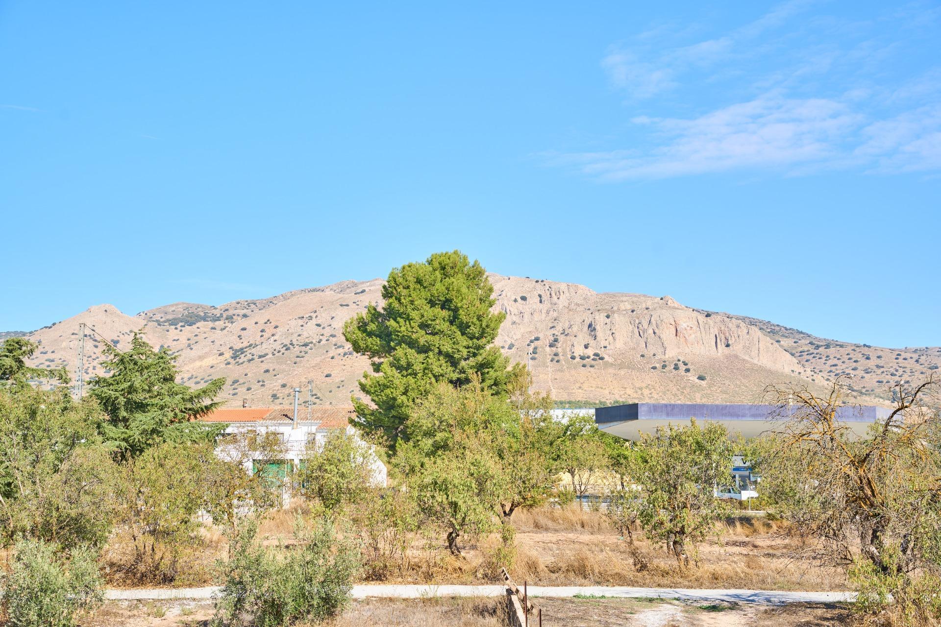 Casas o chalets-Venta-CÃºllar-1682290-Foto-50