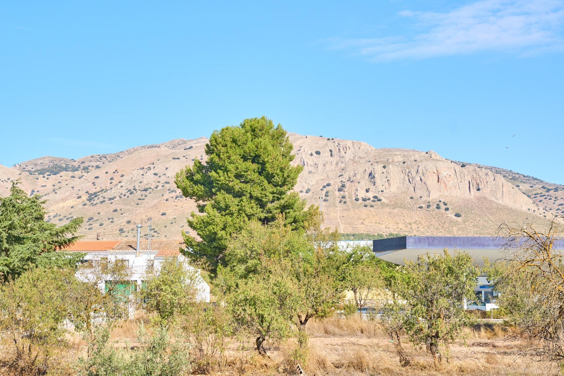 Casas o chalets-Venta-CÃºllar-1682290-Foto-49