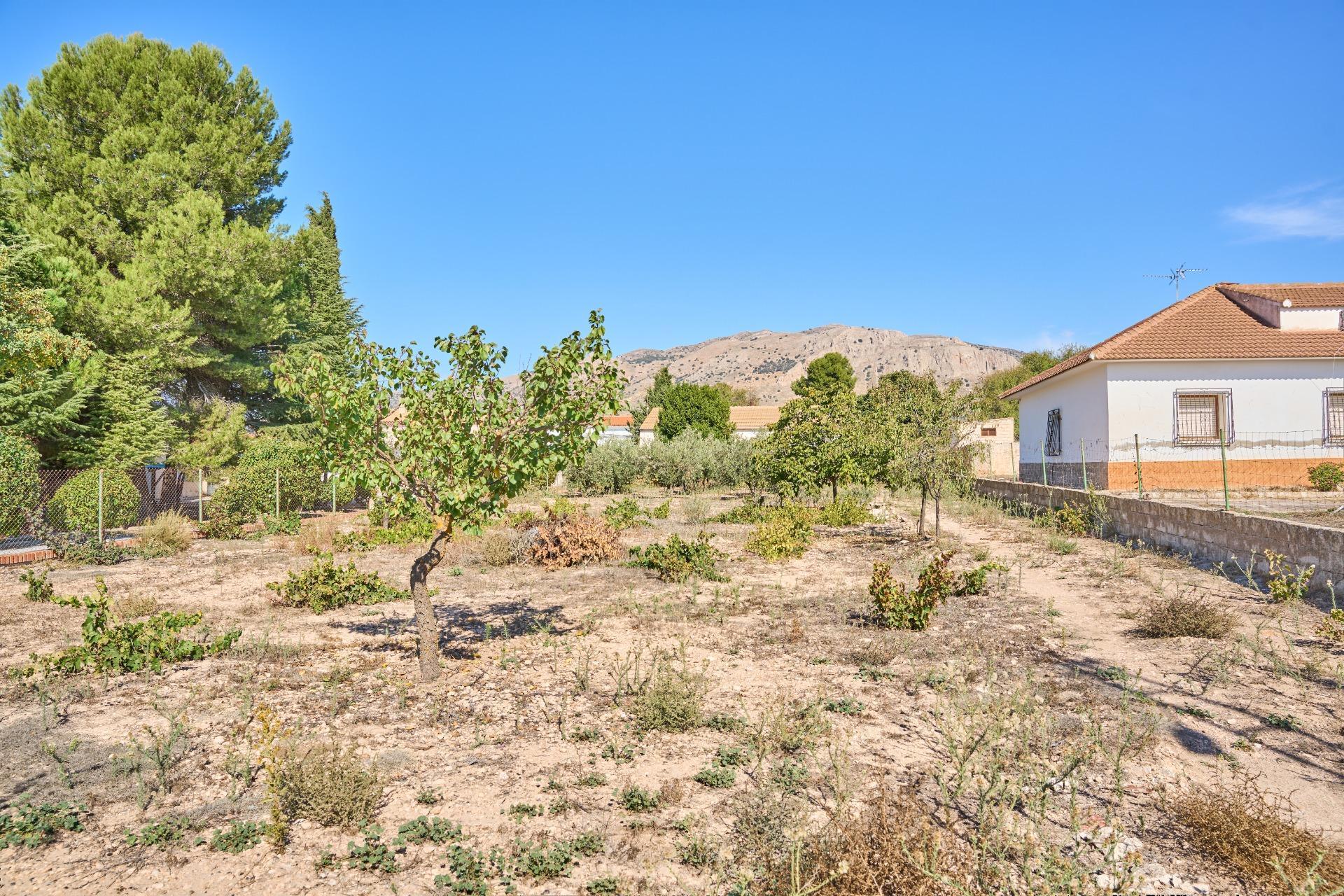 Casas o chalets-Venta-CÃºllar-1682290-Foto-51