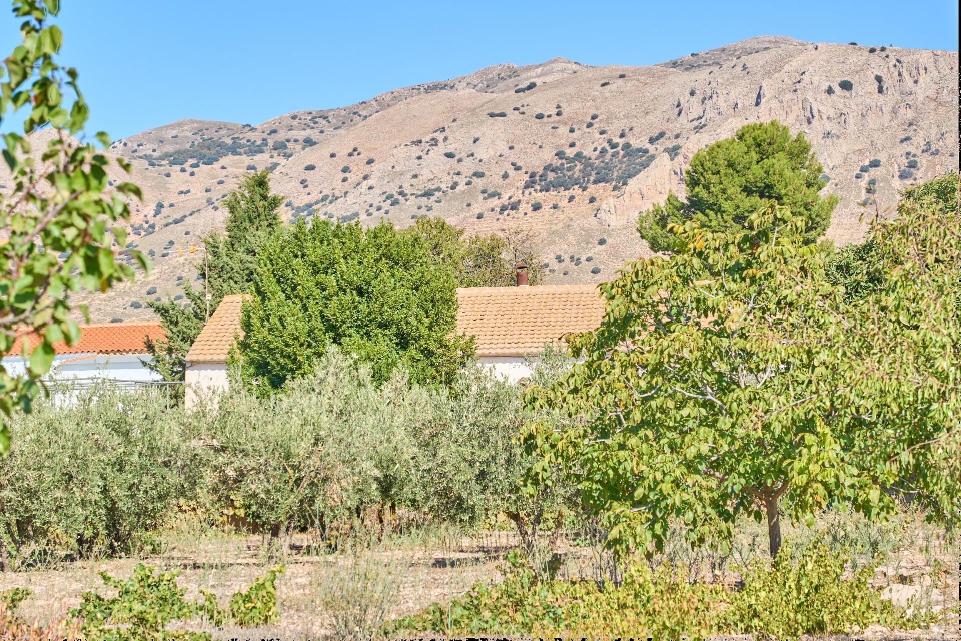 Casas o chalets-Venta-CÃºllar-1682290-Foto-52