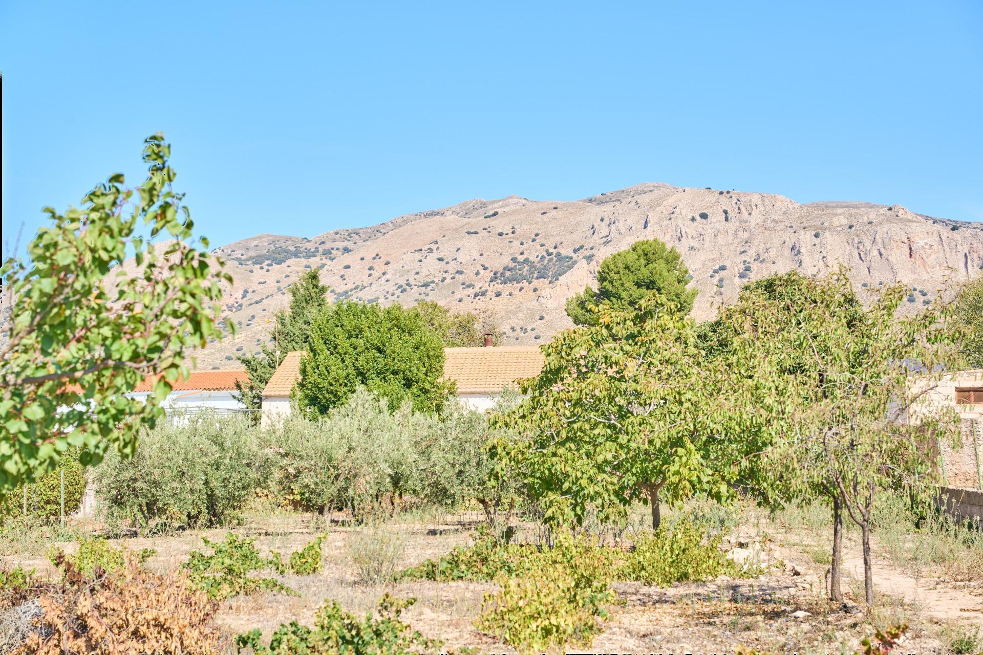 Casas o chalets-Venta-CÃºllar-1682290-Foto-53