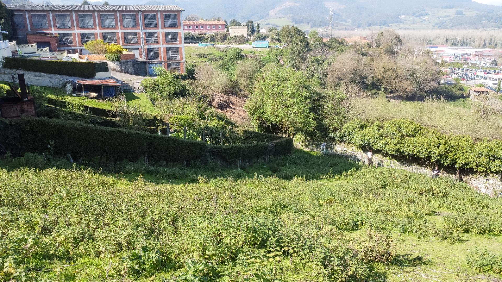 Fincas y solares-Venta-Pravia-2202117-Foto-4