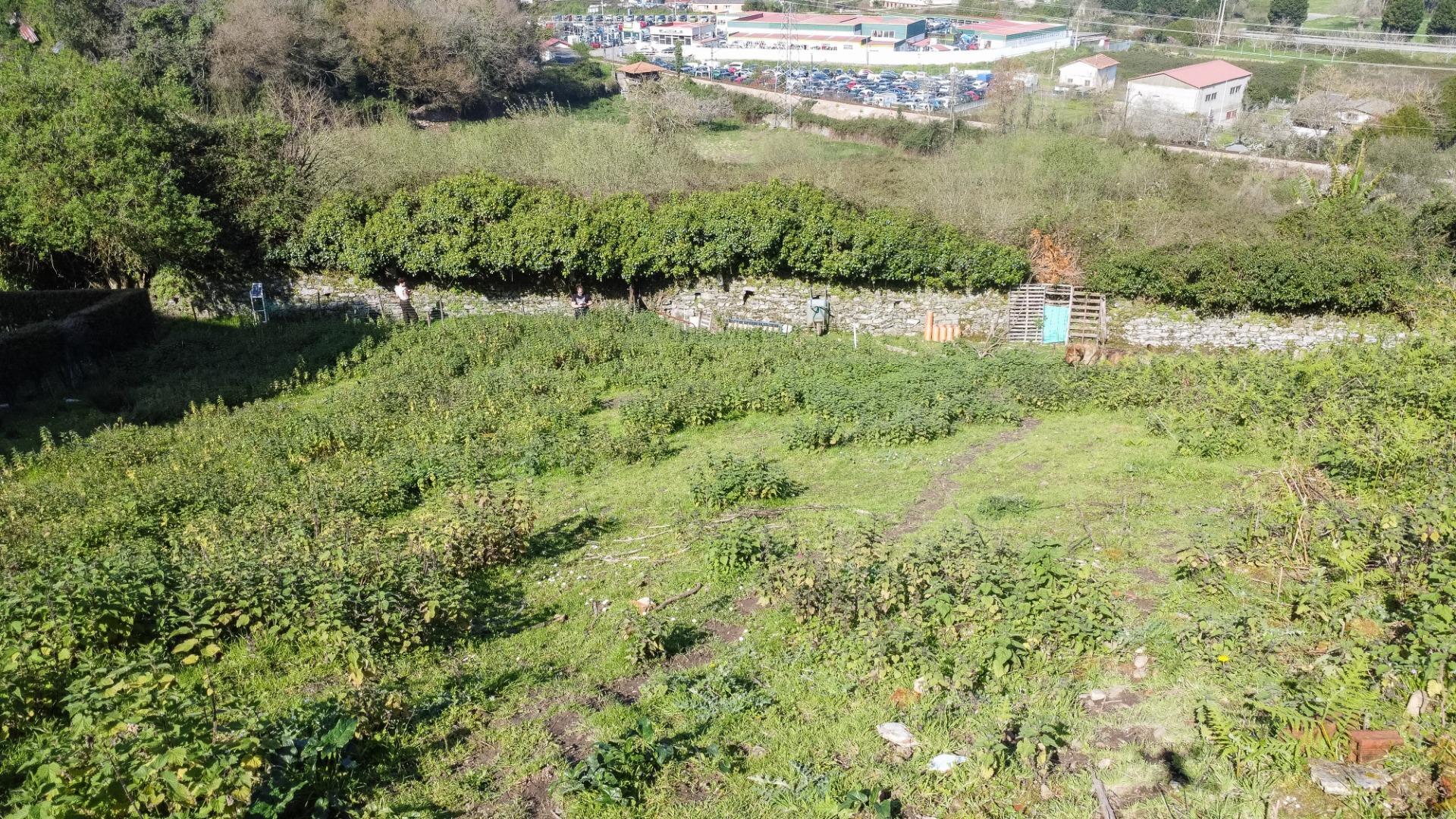 Fincas y solares-Venta-Pravia-2202117-Foto-5