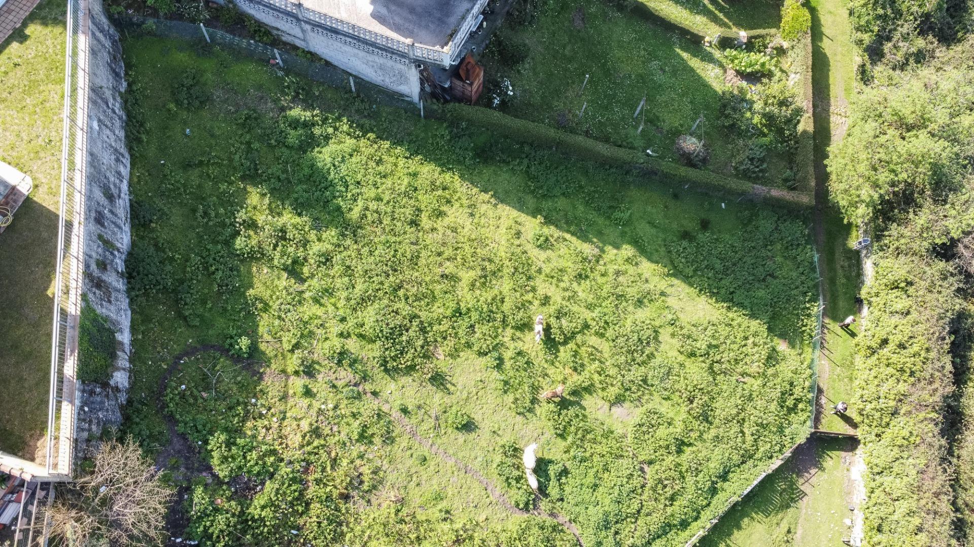 Fincas y solares-Venta-Pravia-2202117-Foto-7