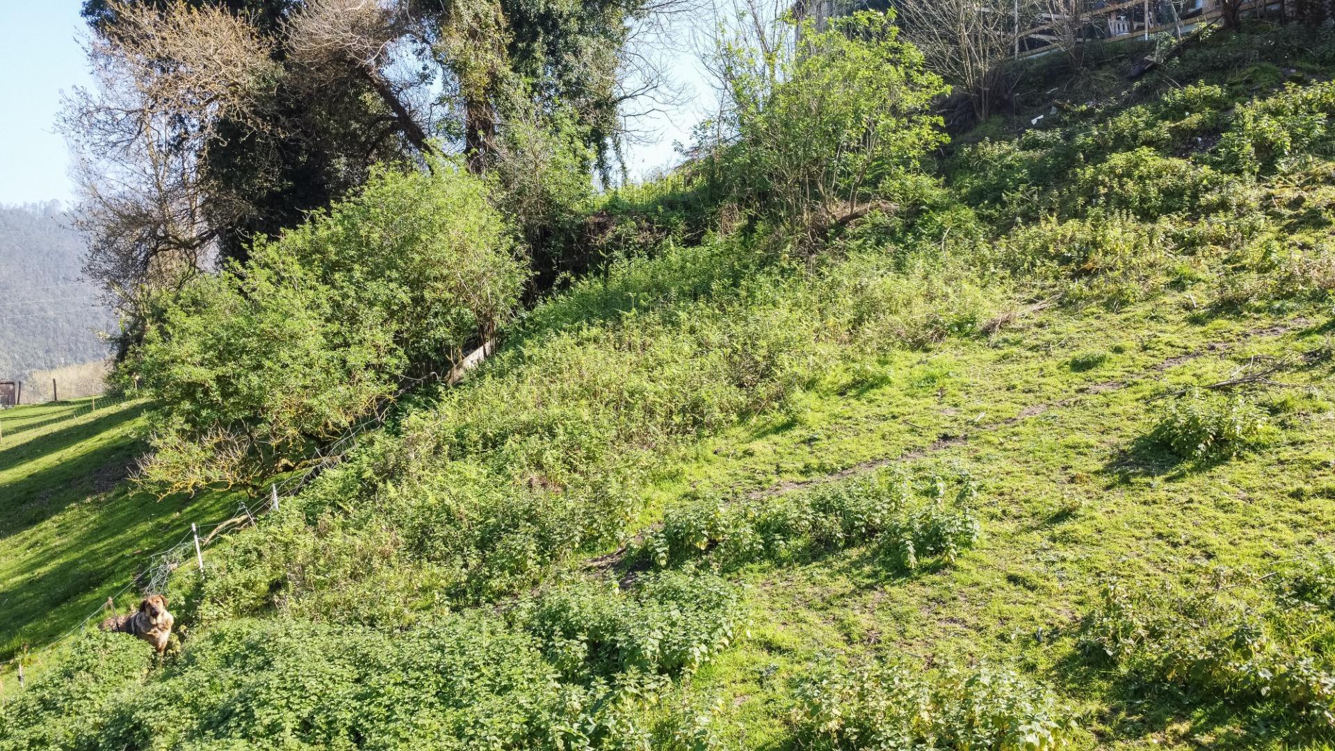 Fincas y solares-Venta-Pravia-2202117-Foto-12