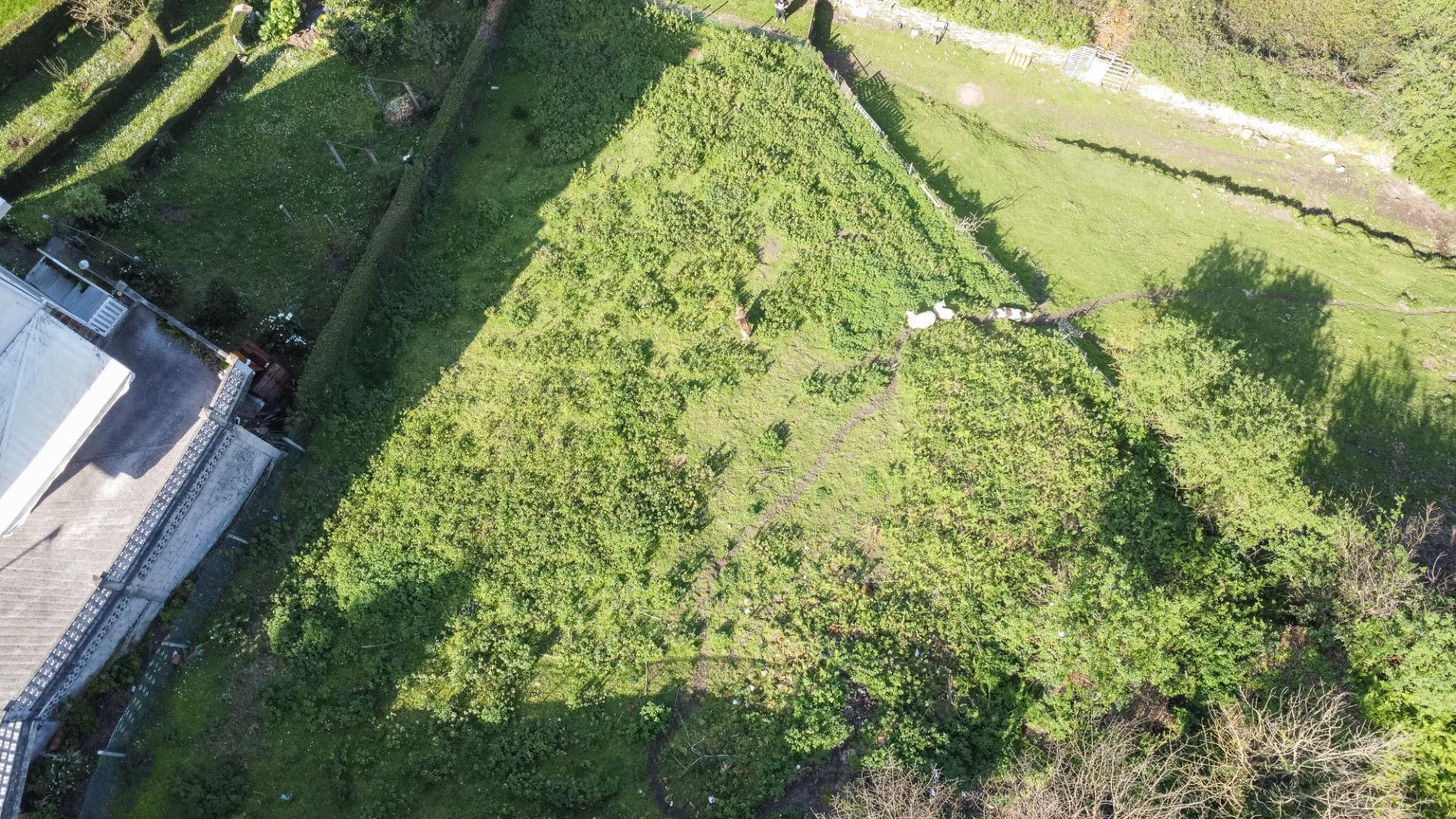 Fincas y solares-Venta-Pravia-2202117-Foto-11