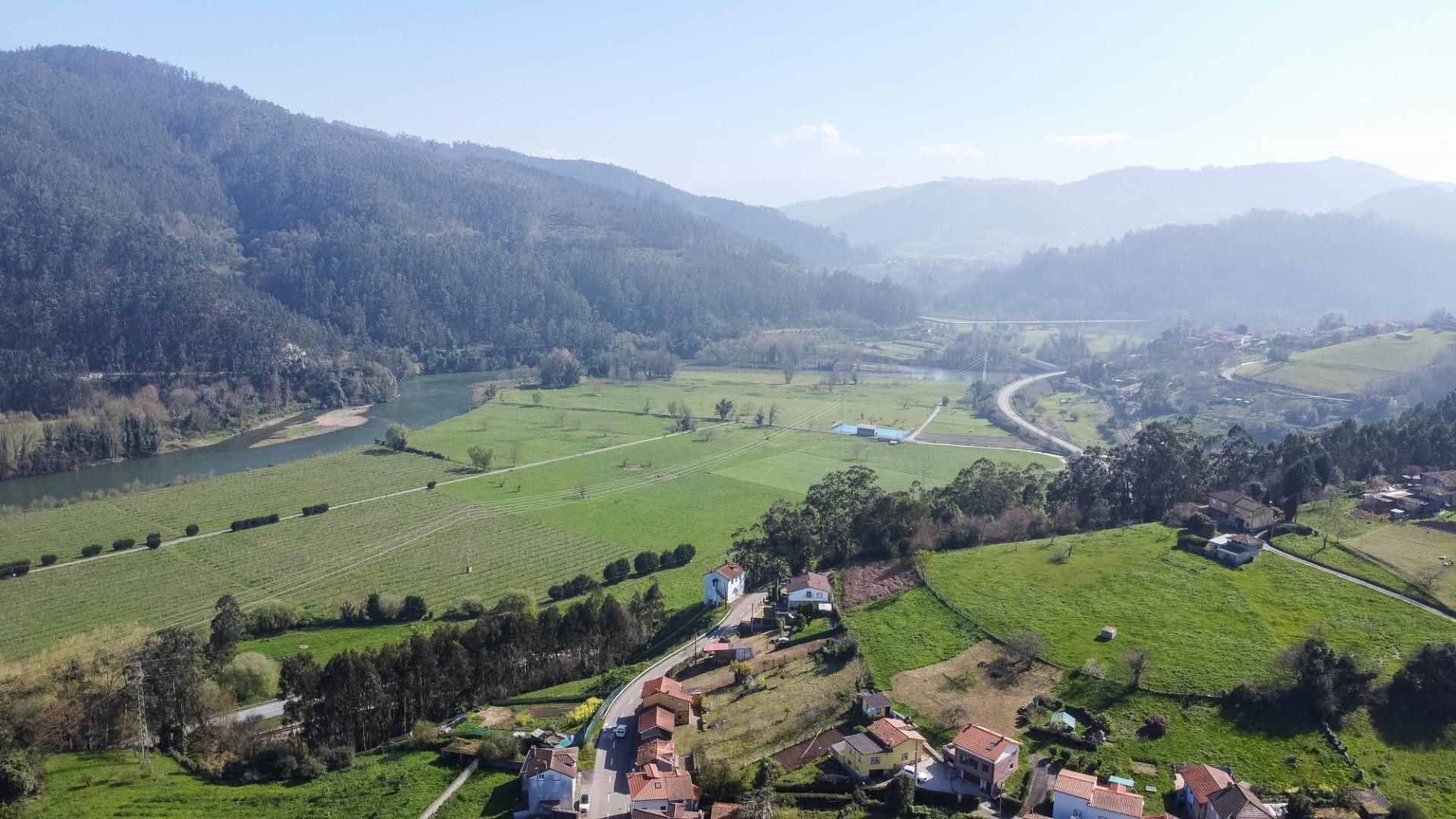 Fincas y solares-Venta-Pravia-2202117-Foto-14