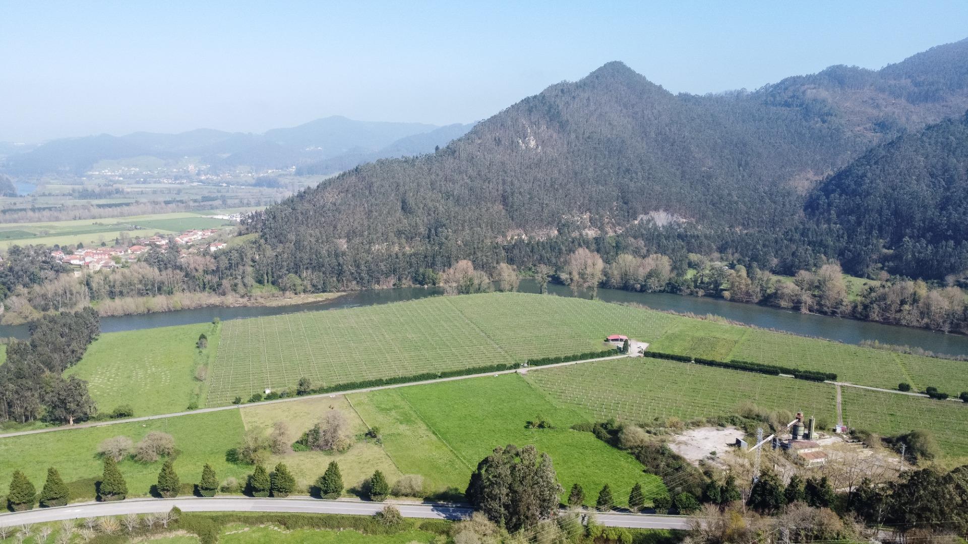 Fincas y solares-Venta-Pravia-2202117-Foto-15