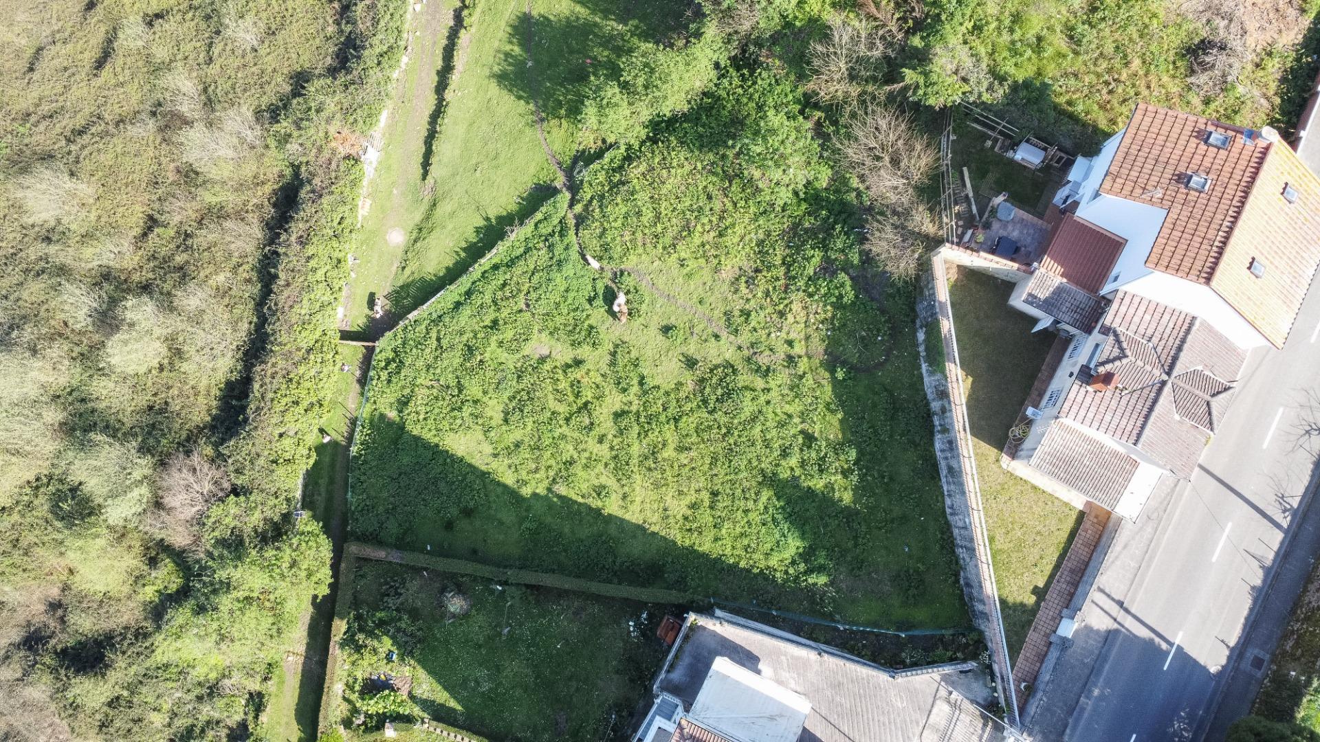 Fincas y solares-Venta-Pravia-2202117-Foto-18