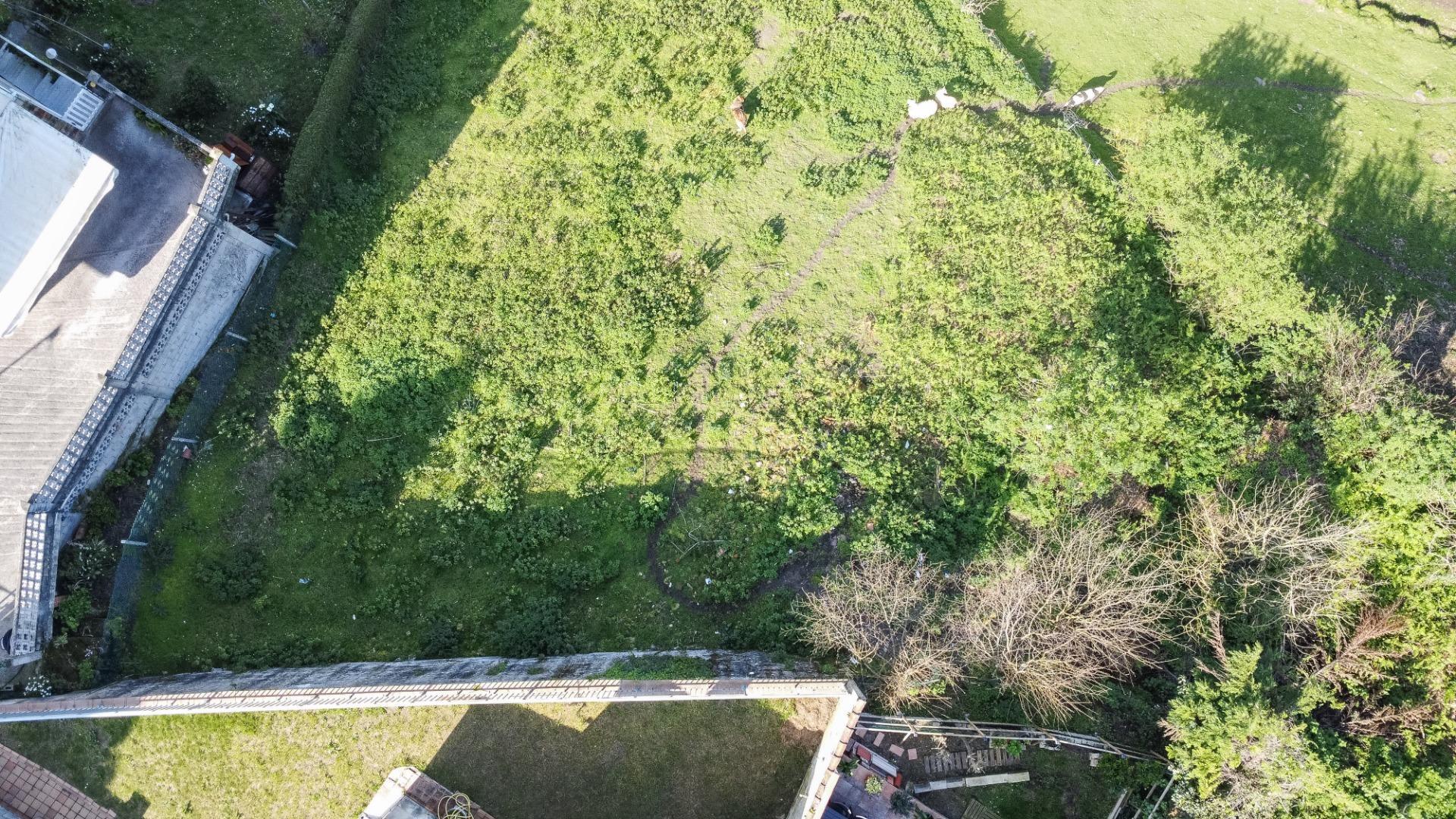 Fincas y solares-Venta-Pravia-2202117-Foto-21